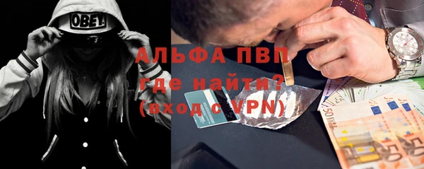 прущие грибы Балабаново