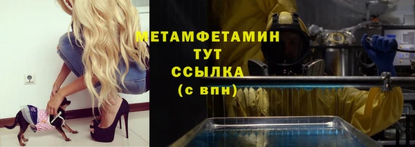 прущие грибы Балабаново