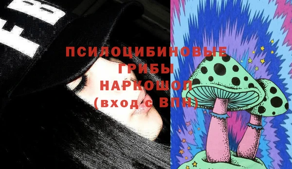 мдпв Балахна