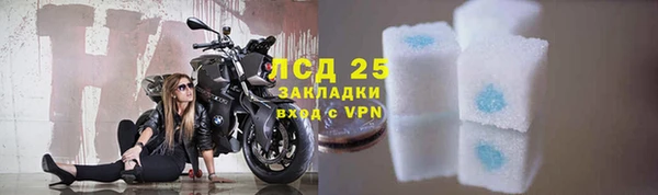 прущие грибы Балабаново