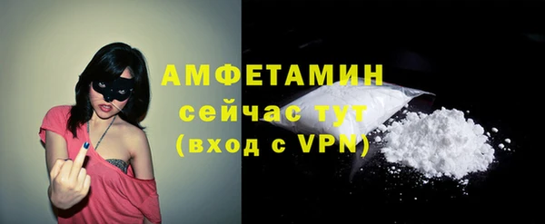 прущие грибы Снежинск