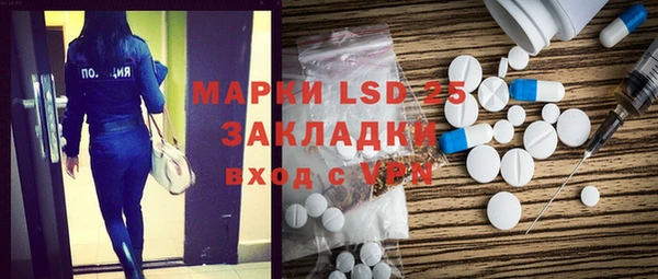 прущие грибы Балабаново