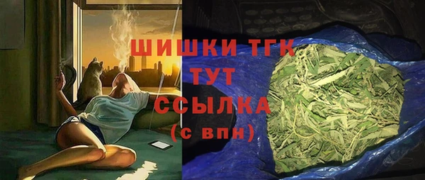прущие грибы Балабаново
