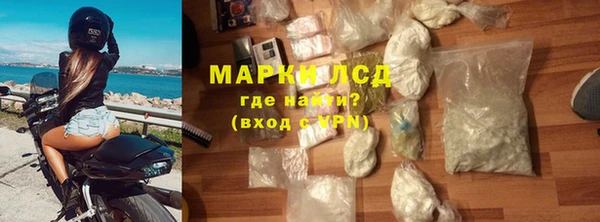 прущие грибы Балабаново